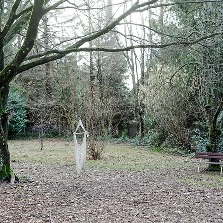 Parkblick